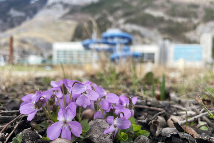 sportanlagen_fruehling_ks_1