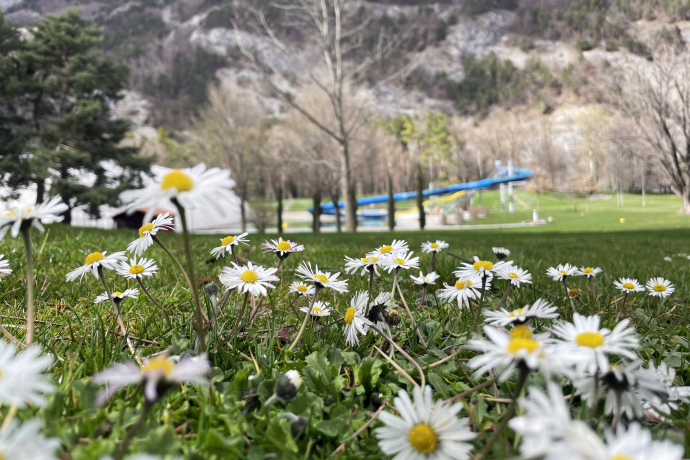 sportanlagen_fruehling_ks_3