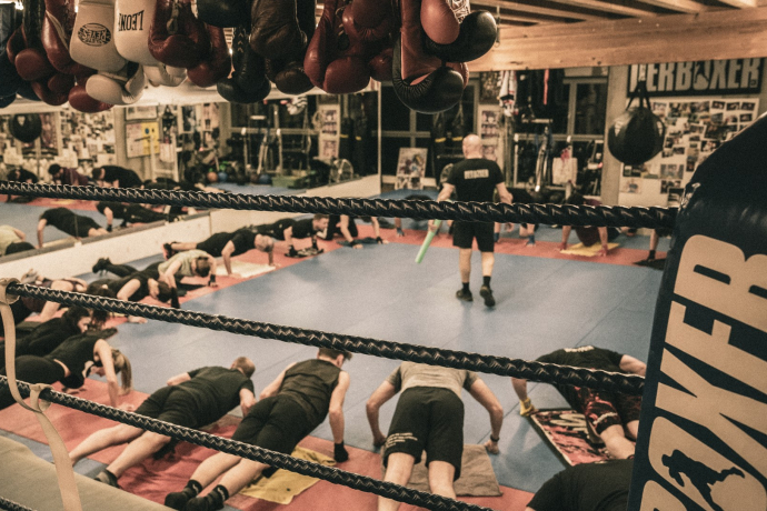 der_boxer_quer_1_1920