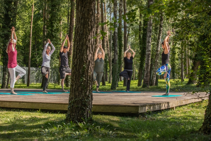 Yoga im Wald Yoga im Wald