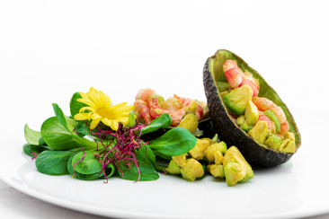 Avocado und Crevetten