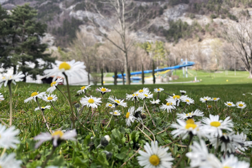 sportanlagen_fruehling_ks_3